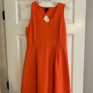 Coral fit and flare dress